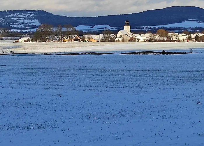 Schöne helle Ferienwohnung in Waldnähe