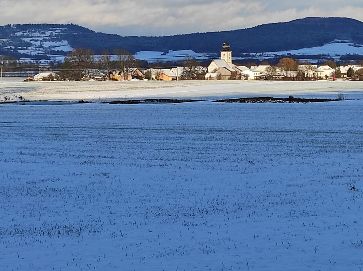 Schöne Helle In Waldnähe